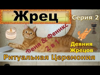 free жрец ритуальная церемония серия 2 деяния жрецов кот феня он же феникс hd