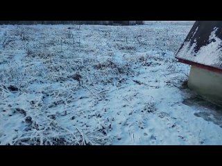 free промыа форсунок как отключить бензонасос на haval h9 hd