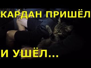 free сезон 01 серия 07 до тулы без тормозов на помойке до урала hd