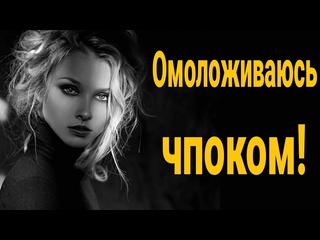 free с начала дала а потом полюбила кто такая порядочная девушка прошлое жены hd