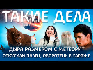 free откусили палец оборотень в гараже дыра размером с метеорит такие дела hd
