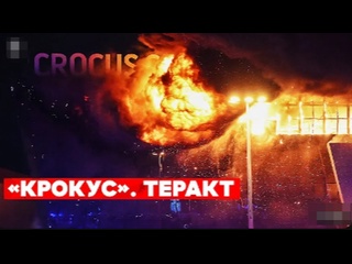 free спец эфир теракт в крокус сити холл прямой эфир стрельба в crocus city hall тв эфир hd