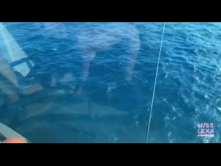 free грудастая чикуля смачно порится с богатым перцем на корабле hd