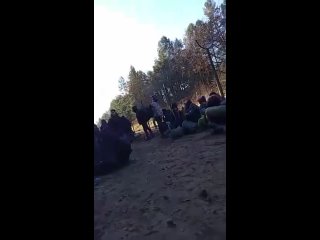 free беларусские силовики начали стрельбу в лагере мигрантов возле кузницы 2 hd