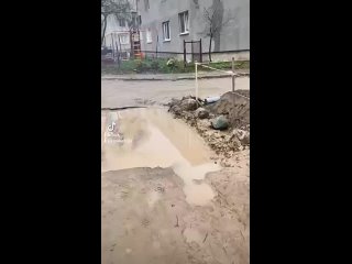 free то что во всем цивилизованном мире считается дикостью в беларуси норма hd