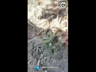 free полк калиновского показал мощное видео боя с передовой hd