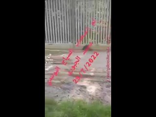 free под забором на границе польши и беларуси появились туннели 2 hd