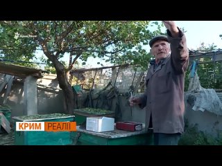 free иранские инструкторы в крыму как защитить небо от shahed крым реалии hd