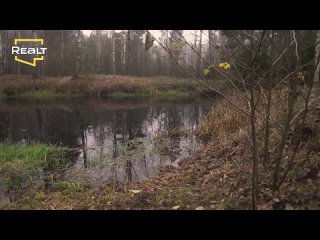 free на веранде не было пола а лаа и плита стояли просто на земле hd