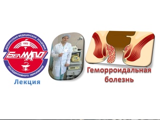free лекция геморрой анатомия механизмы развития клиника диагностика хирургическое лечение hd