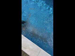 free аппетитная брюнетка купается в бассейне нагишом больше порно видео в телеграм hd
