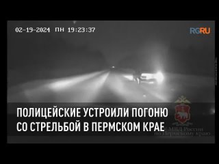 free полицейские устроили погоню со стрельбой в пермском крае hd