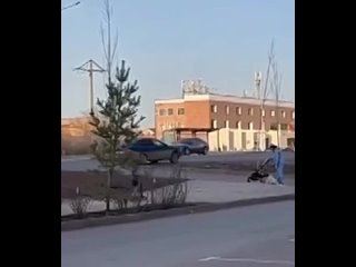 free в астане девушке которая сидела на останое неожиданно в голову прилетело колесо hd