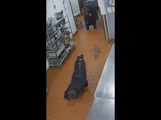 free вероятность того что на вас нападет медведь в супермаркете мала но не равна нулю hd