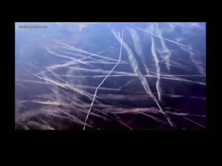 free сумасшедшие сектанты сошли с ума пришло время их остановить hd