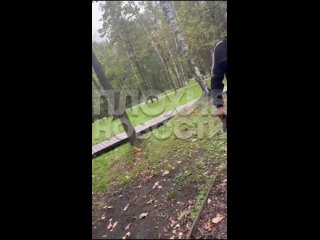 free мужчина с семьей претендовал на беседку в парке филатов луг но она была уже занята молодые люди заранее пришли к hd