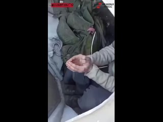 free в соцсетях появилось видео на котором дагестанцы взяли в плен американского наемника и побили его тапком hd