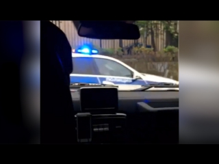 free золотая молодежь смотрела порно во время гонок с полицией hd