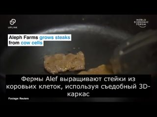 free хозяева мира о своих планах на нас и наших детей принц уэльский клаус шваб юв hd