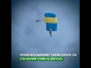 free авиалесоохрана провела заключительные тренирои с парашютами hd