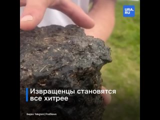 free извращенцы кажется совсем сбрендили кто то спрятал камеру в камень на пляже hd