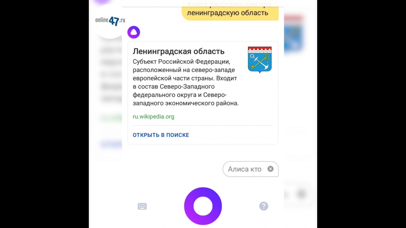 free божественно что голосовой помощник яндекса алиса знает о ленобласти hd