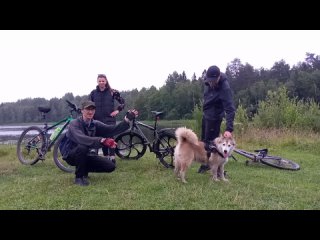 free рекламное видео что будет в видео в полном формате hd