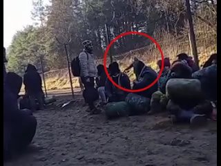 free польские пограничники заявили что периодически слышат выстрелы на белорусской стороне границы hd