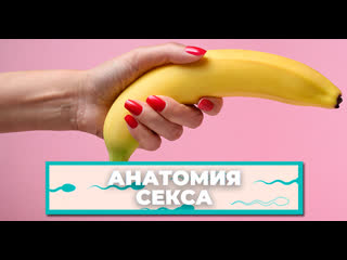 free анатомия секса мифы о половом члене которые мешают получать удовольствие hd