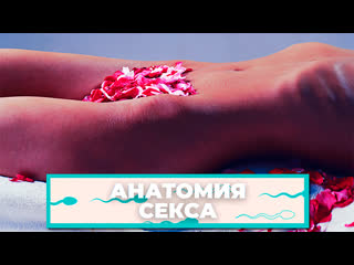 free анатомия секса как заниматься сексом во время месячных hd