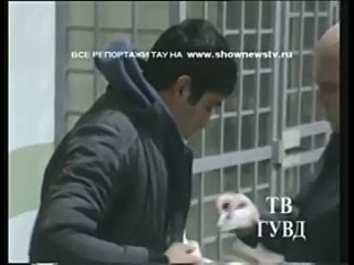 free тау беглые узбеки забившие соплеменника камнями попались на урале hd