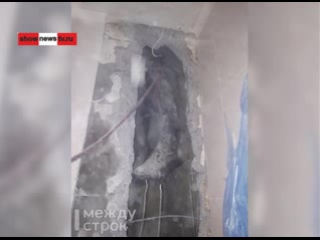 free тау мужик под молодые забрался в бетонный колодец и секс от удушья hd