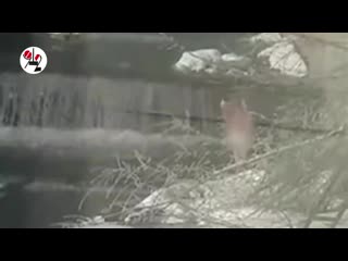 free началось голая купалась в водопаде real video hd