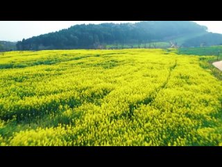 free заброшенная шахта в ухане превратилась в экопарк hd