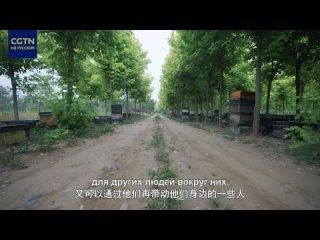 free китайская мудрость в изложении си цзиньпина серия 3 путь к управлению государством начинается с обогащения народа hd