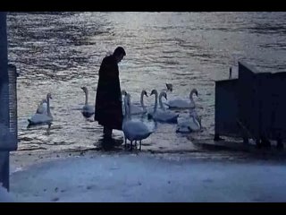 free невыносимая легкость бытия the unbearable lightness of being 1988 г сша эротическая ретро драма лесби фильм hd