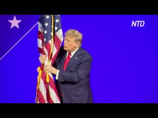 free дональд трамп обошёл никки хейли в её родном штате южная каролина hd