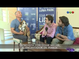 free союзники питер лансани и николас франчела в программе el encantador de perros часть 2 hd