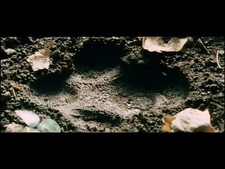 free официальный трейлер к фильму ты не одинок koi mil gaya 2003 hd