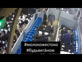 free вместо матери коровы кормление молочных телят на ферме молокожестоко будьвеганом hd