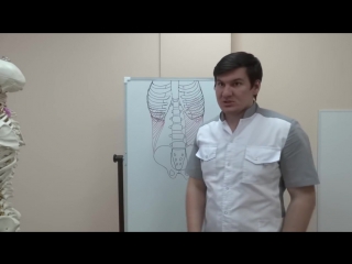 free sls косые мышцы молодые как тренировать и растягивать hd