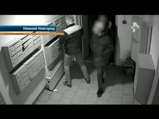 free в нижнем новгороде камеры наблюдения в подъезде сняли настоящее реалити шоу со школьниками hd
