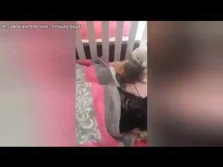 free мама зашла проверить как спит дочь и увидела это hd
