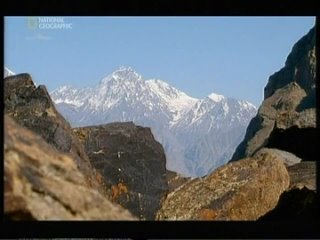 free только не говорите маме что я в пакистан hd