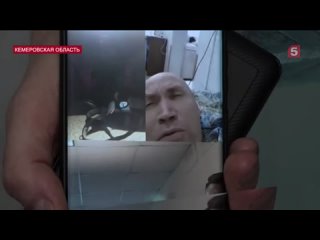 free что известно о взрыве на шахте листвяжная 29 ноября hd