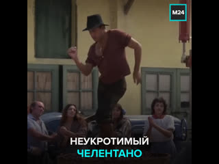 free самый сочный отрывок из фильма укрощение строптивого с адриано челентано москва 24 hd