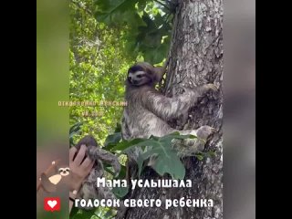 free какое милое видео боже как она его обнимает какая прелесть hd
