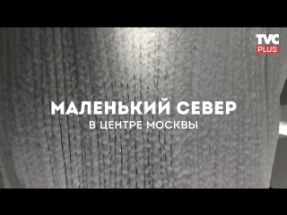 free ледяная пещера в парке зарядье hd