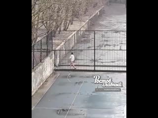 free парень в футболке и без трусов возле 87 школы ростов на дону главный hd