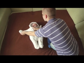free мама была на работе а папе было скучно when dad alone with his baby hd